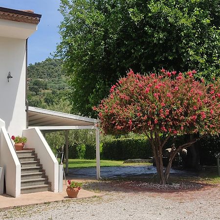 Krio Gelsomare Hotel Policastro Bussentino Exterior foto