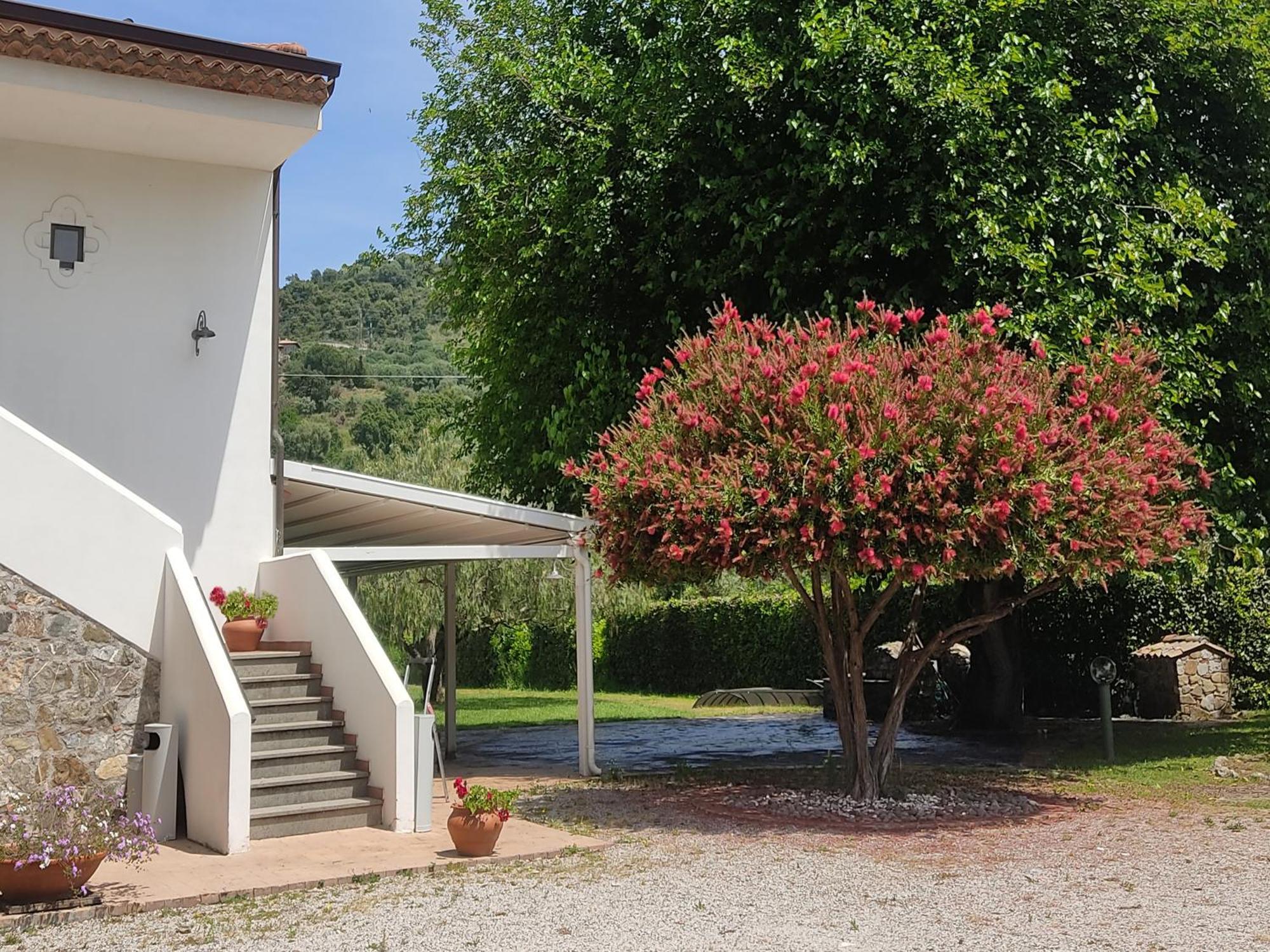 Krio Gelsomare Hotel Policastro Bussentino Exterior foto